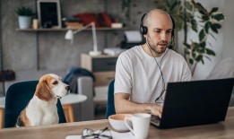 远程办公是如何拯救政府劳动力的