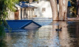 显微镜下的恶劣天气保险索赔