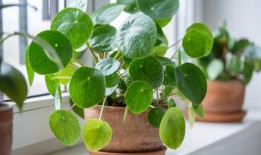 俄罗斯运动员警告说，他们在奥运会上会遇到困难