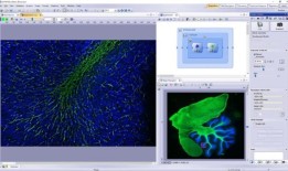 新一代显微镜图像分析与深度学习技术