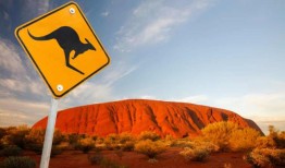 研究表明，黑猩猩的交流方式与人类相似