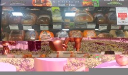 去迪斯尼乐园？你可能会负债数月或数年