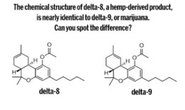 8是什么？销售正在蓬勃发展以下是你需要知道的