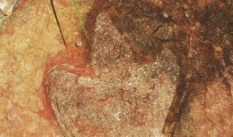 比对了在大西洋两岸发现的恐龙脚印