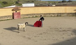 西班牙LGBT斗牛士：“因为我，会有更多人出柜”