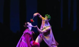 为什么舞蹈编导喜欢莎士比亚